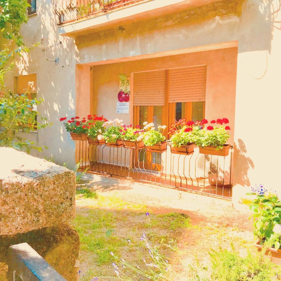 Gallura Experiences Li Criasgi Aggius Exteriör bild
