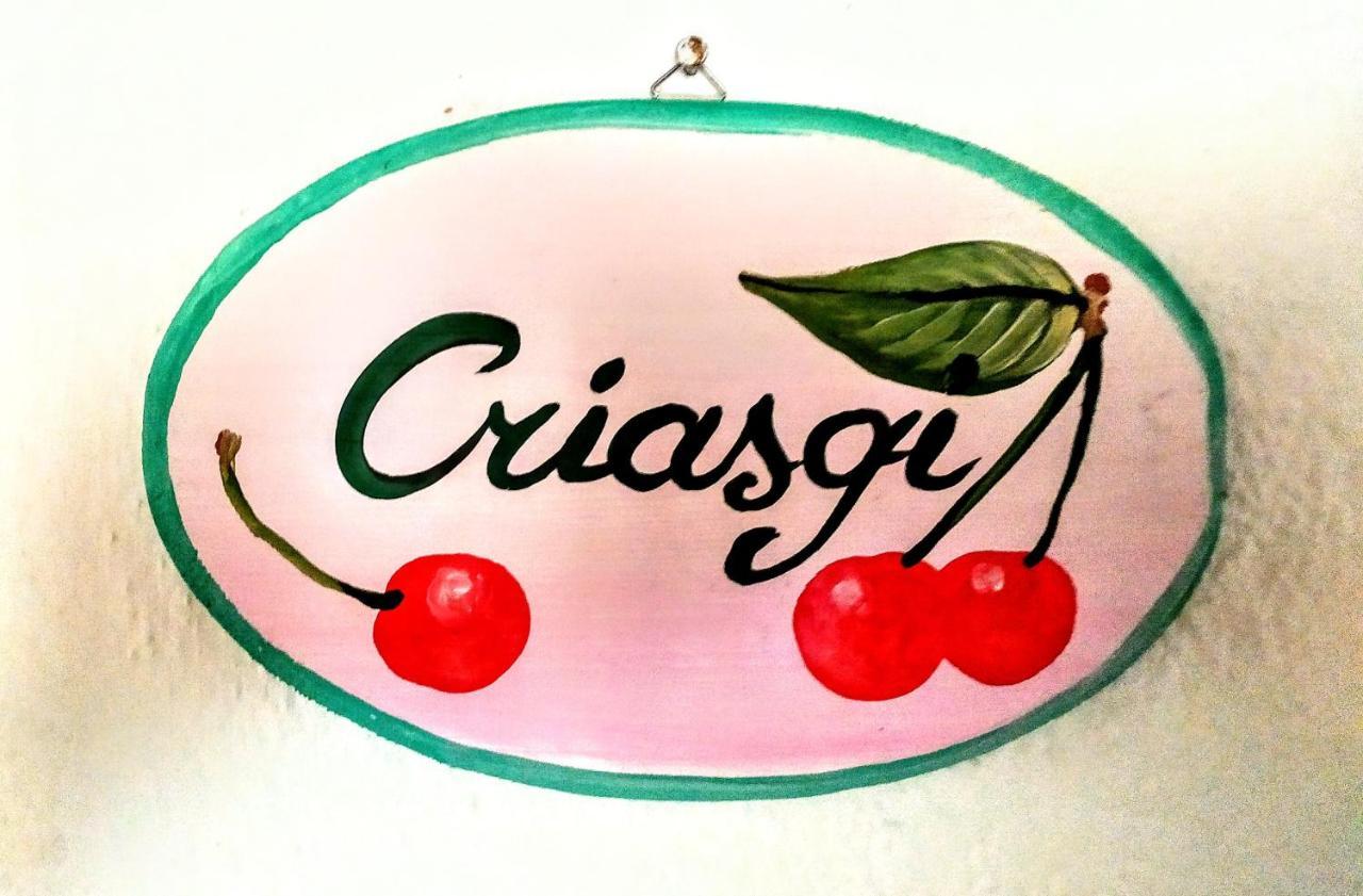 Gallura Experiences Li Criasgi Aggius Exteriör bild